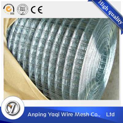 rich expertise factory supply pvc 19x19 galvanized welded wire mesh roll