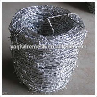 Safety Security Electro Galvanized Barbed Wire for Military Use in Cheap Price